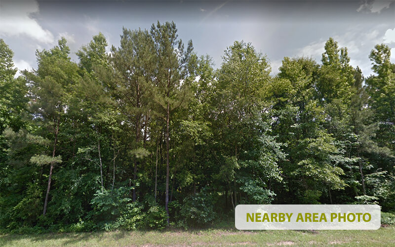 RV Living on the Coosa River 0.94 Acres with No Zoning and No