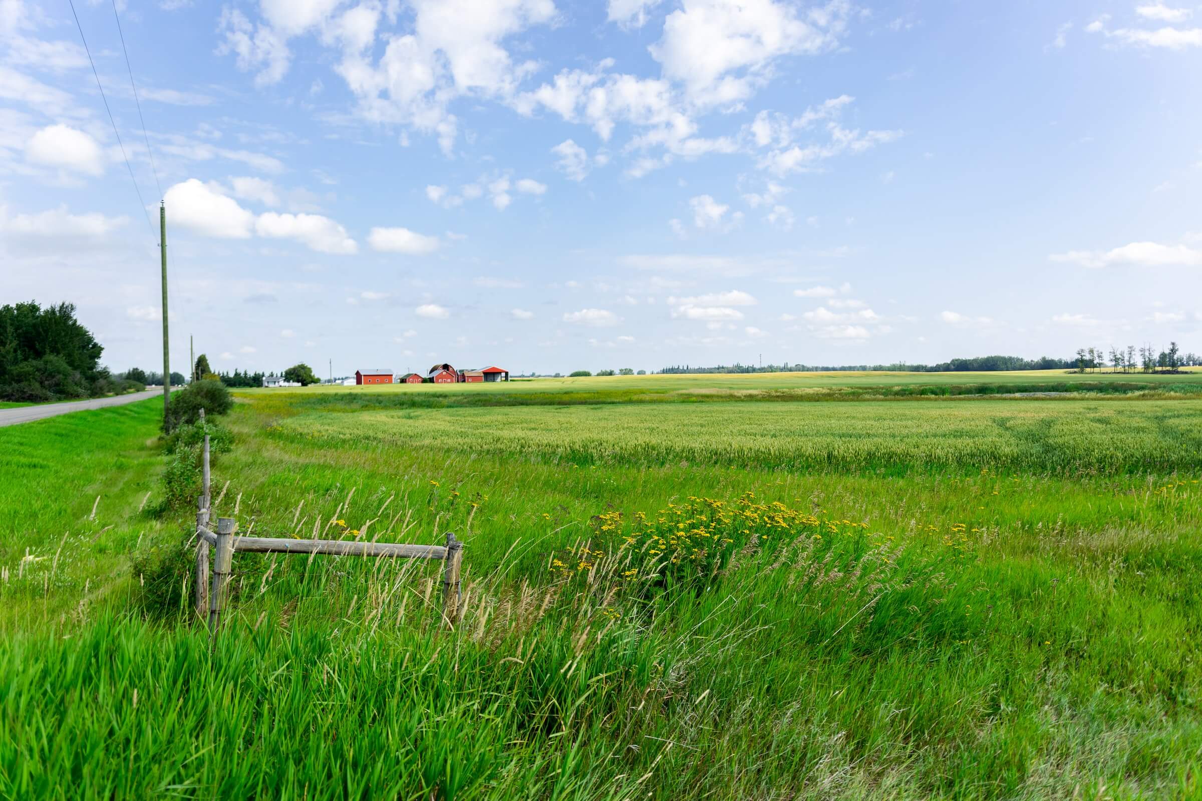 Owner Financed Land With Well And Septic Missouri - pk6nb5t