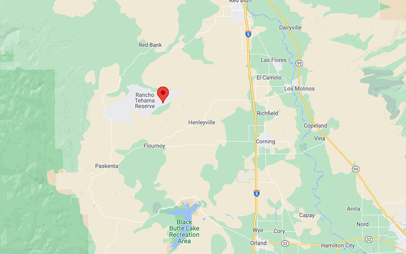 Rancho Tehama Property with Paved Road Access and Electric Available