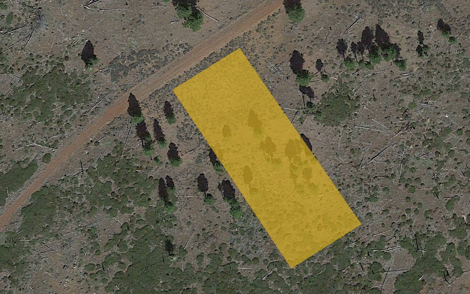 Forest View Property in California Pines 0.96 Acres in Modoc County