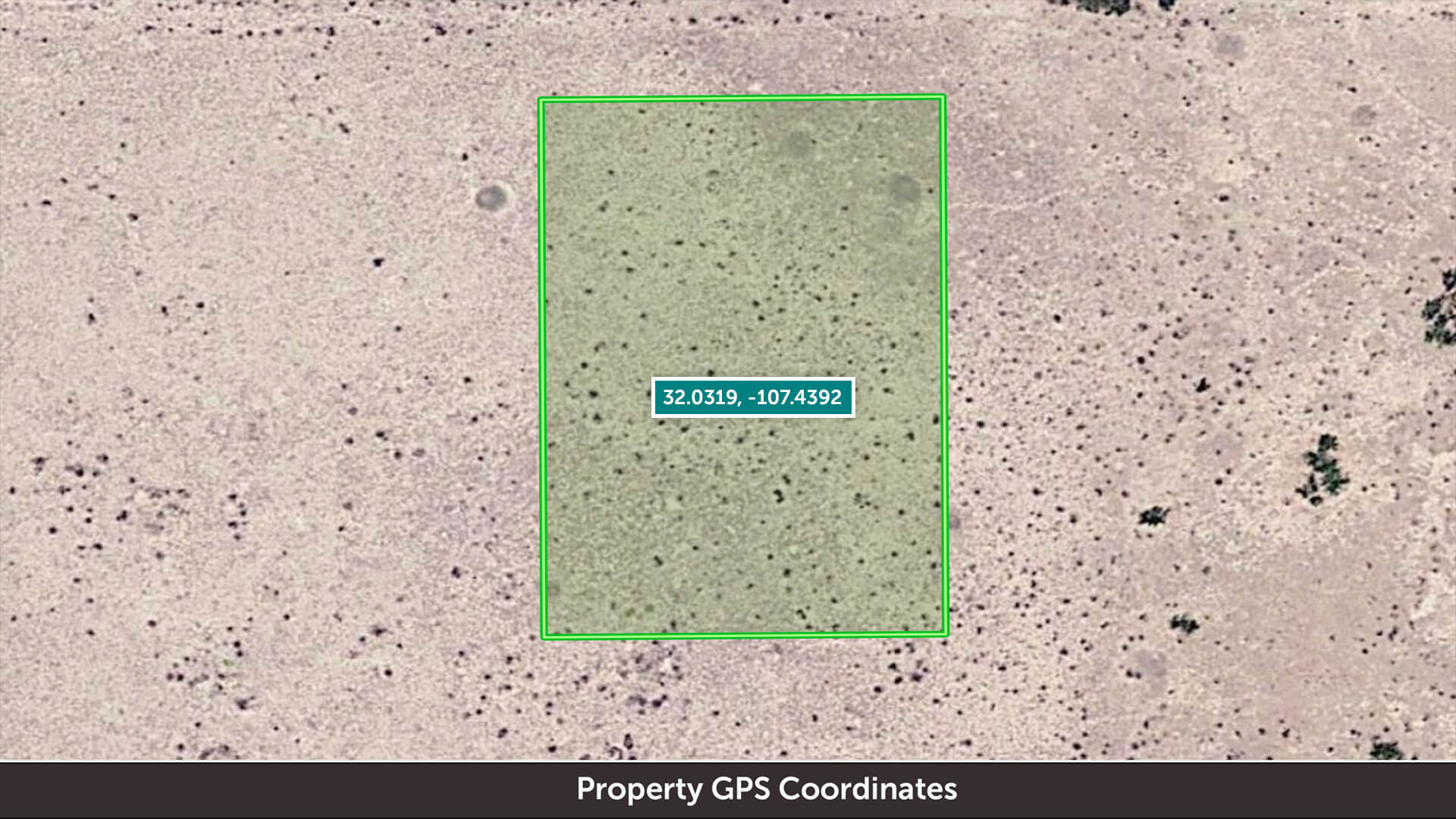 Unplug and Unwind with this 0.50 Acre Lot in Sunny Luna County! Land